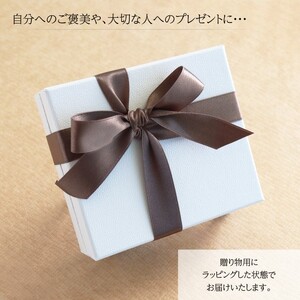 K18ホワイトゴールド＆ダイヤモンド サークルモチーフピアス【TE-111】