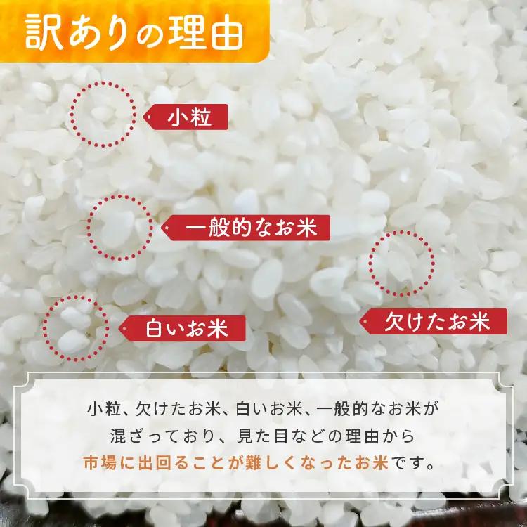 【栃木県共通返礼品】令和7年度産 栃木県産 こしひかり 10kg （5kg×2袋） | ふるさと 納税 コシヒカリ お米 精米 白米 玄米 大粒 共通返礼品 送料無料 那珂川町 栃木県