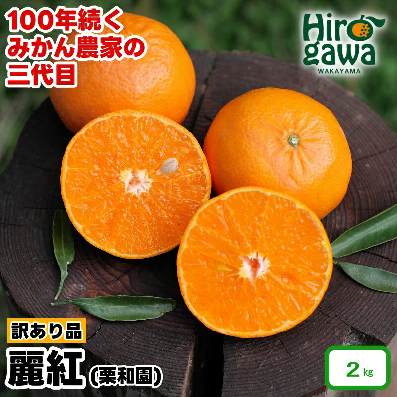 【ふるさと納税】 麗紅 （ れいこう ） 訳あり 2kg / オレンジ 甘い 家庭用 和歌山 有田 柑橘 7000円 ※2月中旬〜3月下旬に順次発送 //dekopon