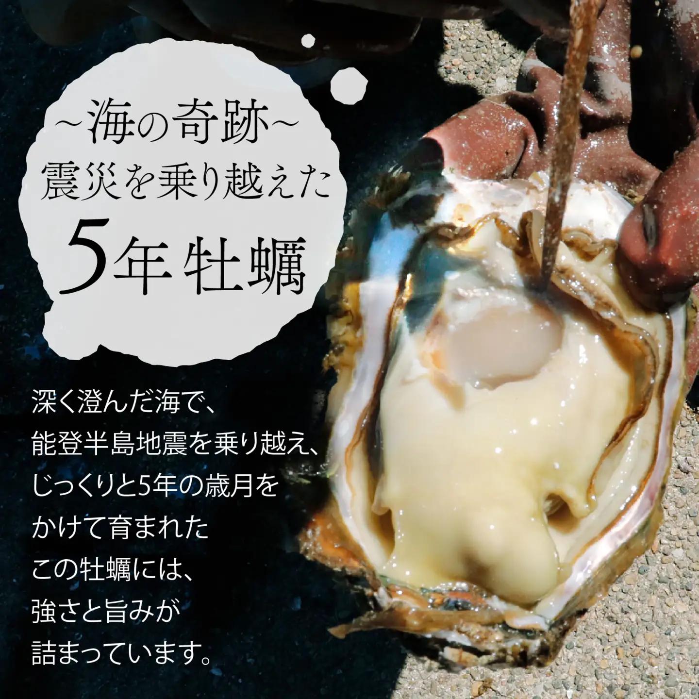 奥能登 松村水産の岩牡蠣 約500g前後【むき身・加熱用】/ 岩牡蠣