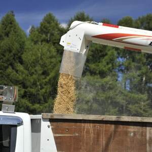 【新米先行受付】長野県産特別栽培米 ミルキークイーン10kg【1651028】