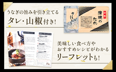 【隔月定期便全3回】＼特大サイズ／ 鹿児島県産 鰻蒲焼真空セット！ 5尾 タレ・山椒付！ 株式会社薩摩川内鰻 《お申込みの翌月から出荷》 鹿児島県 さつま町 送料無料 ウナギ 丑の日 うなぎ 刻み グ