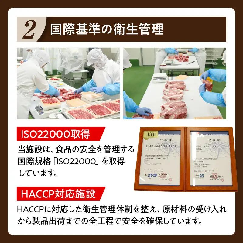 （R-801） 鹿児島黒牛 カタローススライス セット 計1.2kg KN009-011-03 肉 牛肉 黒毛和牛