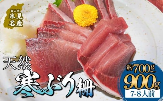 【先行予約】氷見産 天然寒ぶり 柵 7-8人前 約700g-900g 【2025年11月中旬以降順次発送】 釣屋魚問屋直営 ひみ岸壁市場 富山県 氷見 氷見漁港 能登 寒ブリ 天然鰤 サク ひみ岸壁市場 天然 鮮魚 ブリ 産地直送