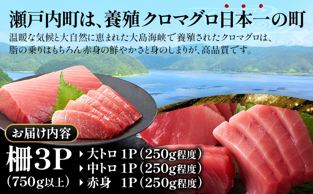 奄美大島産養殖クロマグロ（3柵セット）