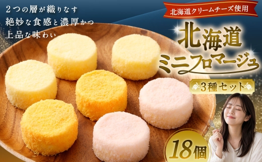 北海道ミニフロマージュ 3種 セット （プレーン ・ アップル ・ メロン） 約300g（50g×6個入）×3個 合計約900g ミニフロマージュ フロマージュ チーズケーキ ケーキ スイーツ 洋菓子 冷凍 北海道 小樽市