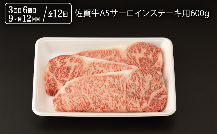 【12回定期便】 佐賀牛 厳選部位 堪能コース 総計 7.2kg【桑原畜産】 [NAB076] 肉 精肉 牛肉 佐賀牛 佐賀県産 黒毛和牛