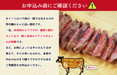 松阪牛 ステーキ【400g× 2枚】カイノミ 牛肉 和牛 焼肉 J8