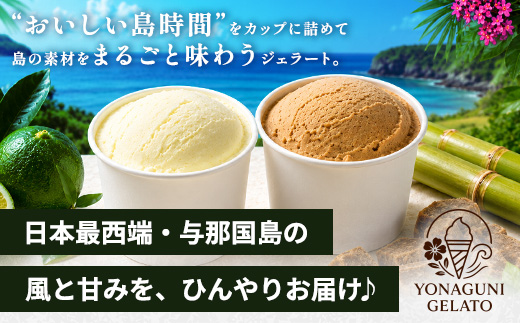 よなぐにジェラート （与那国島産のシークヮーサー ＆ 黒糖） 各4個  合計8個 KM-2│沖縄県 与那国町 与那国島 スイーツ デザート おやつ ジェラート アイス シークヮーサー 黒糖 食べ比べ 