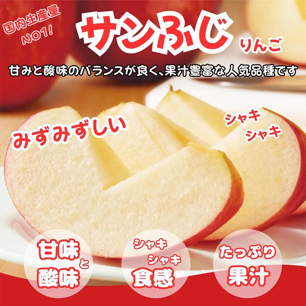 【26年12月発送】りんご サンふじ【訳あり】約3kg ふじりんご 青森県産 青森 果物 フルーツ 林檎 リンゴ くだもの 弘前市