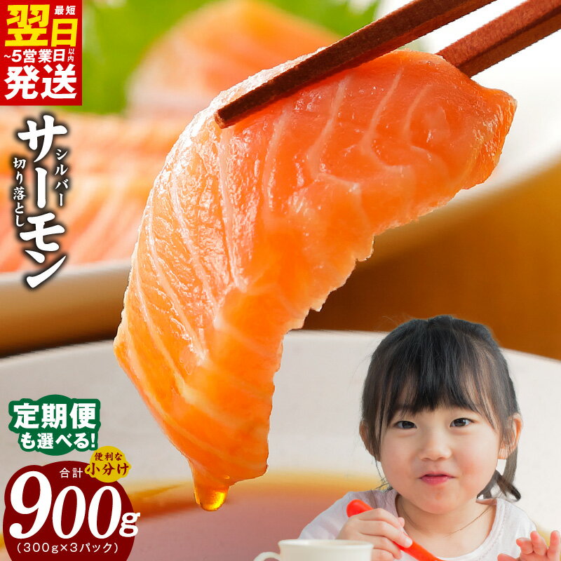 【ふるさと納税】【最短翌日発送】 サーモン 切り落とし 合計 900g 1パック 300g 選べる 発送月 定期便 訳あり サイズ不揃い 小分け 便利 シルバーサーモン 銀鮭 新鮮 刺身 カルパッチョ 海鮮丼 パスタ マリネ 冷凍 家族 おかず おつまみ 5営業日 泉佐野市 送料無料