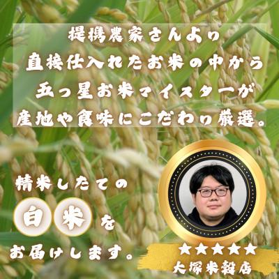ふるさと納税 多久市 【毎月定期便】さがびより白米10kg(5kg×2袋)(多久市)全6回 |  | 02