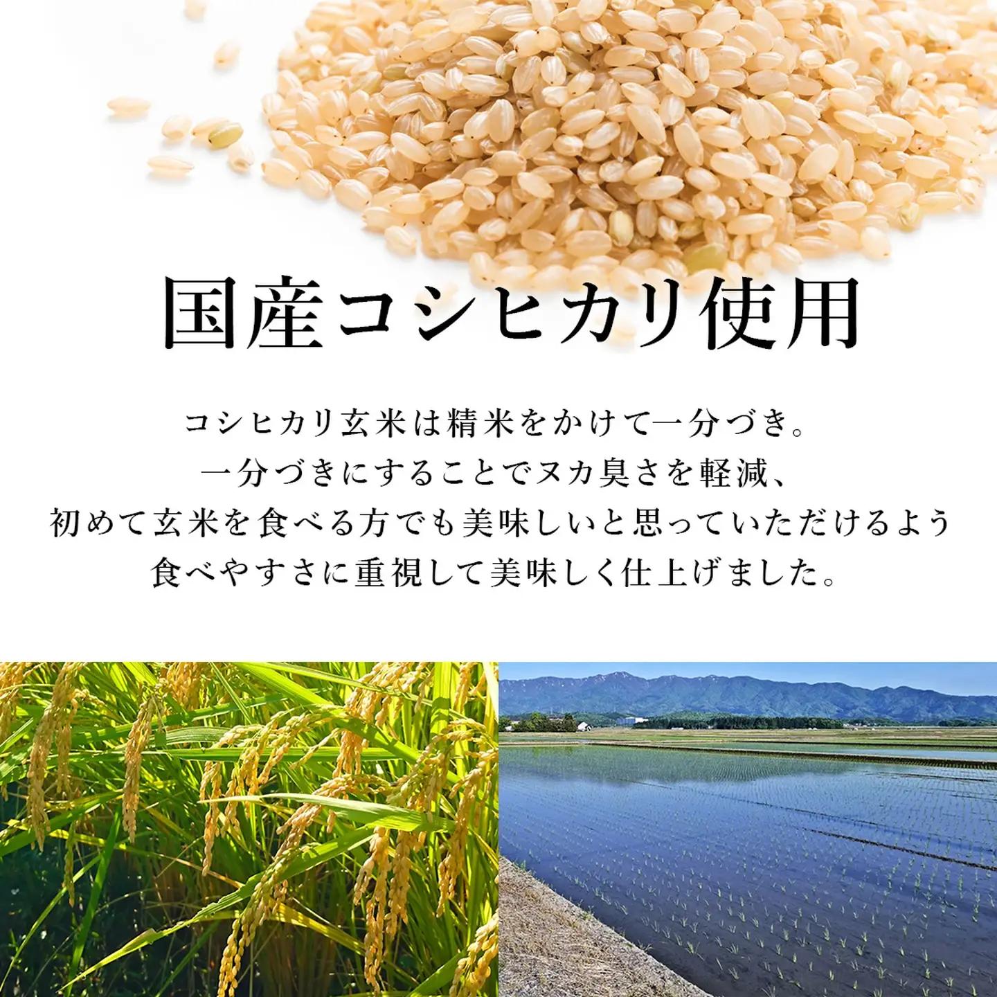 【パックご飯】 玄米 国産こしひかり 無添加一分づき 120g 計36個 パックご飯