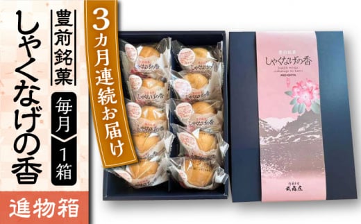 【全3回定期便】【進物箱】しゃくなげの香 10個入り《豊前市》【武蔵屋】お中元 ギフト 贈り物 和菓子 [VBU020]