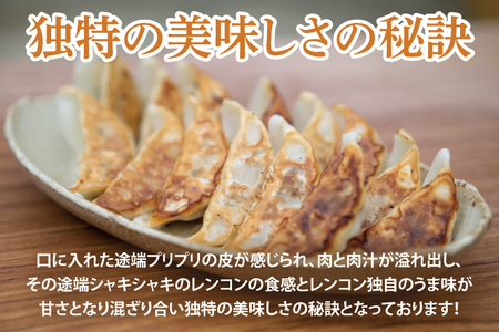 【お試しサイズ】蓮根肉餃子のおばけん【20粒】【野菜 ギョーザ れんこん しゃきしゃき おいしい 食べきり 茨城県 鹿嶋市】（KBU-19）