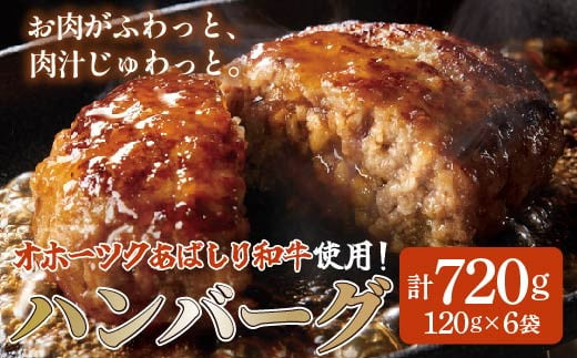 
＜網走産＞【オホーツクあばしり和牛】ハンバーグ・総重量 720g(120g×6個） ABW001
