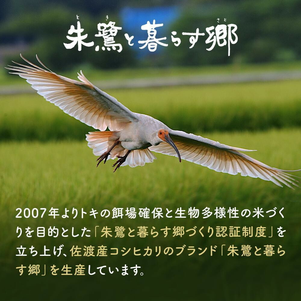 佐渡産コシヒカリ 朱鷺と暮らす郷（5kg）195969-0007