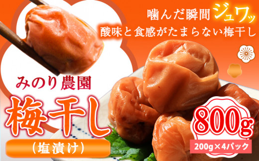 うめぼし 800g（塩）《30日以内に出荷予定(土日祝除く)》熊本県 葦北郡 津奈木町 梅 梅干し 天日干し みのり農園