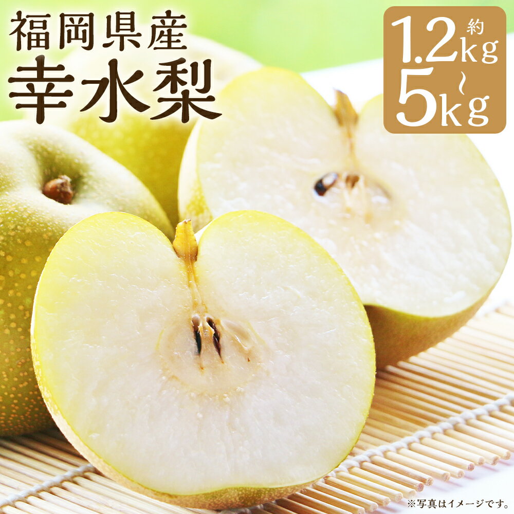 【ふるさと納税】幸水梨 約1.2kg～1.5kg/約3kg/約5kg 選べる内容量 梨 幸水 筑後市産 福岡県産 九州 和梨 フルーツ 果物 送料無料 【2026年7月下旬から8月下旬に順次発送予定】