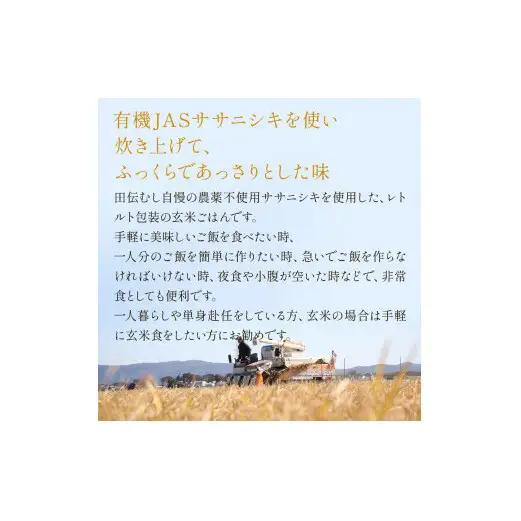 令和7年産 有機ササニシキ玄米ごはん 160g × 20個 ご飯パック ご飯パック ご飯パック ご飯パック ご飯パック ご飯パック ごはん レトルト パックご飯 ごはんパック 有機玄米 レンジ 調理 
