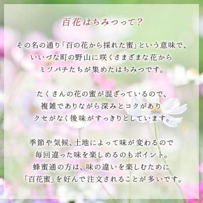 ふるさと納税 飯綱町 はちみつ 外谷さんちの百花蜜 600g 非加熱蜂蜜 |  | 01