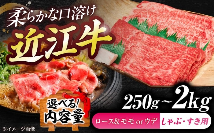 
                  【選べる容量】近江牛ロース＆モモ・ウデ（すき・しゃぶ）250g~2kg  / 牛肉 和牛 国産牛 黒毛和牛 すき焼き 霜降り 近江牛 赤身 食べ比べ セット 詰め合わせ 牛肉 すき焼き 近江牛肉 すきやき 肉 赤身 霜降り 鍋 ロース 黒毛和牛 和牛 牛 国産牛 すきやき肉 高級肉 しゃぶしゃぶ リブロース サーロイン 赤身肉 冷凍 近江牛 モモ / 栗東市 / 有限会社岡山[BIBE083]
                