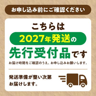 ふるさと納税 当別町 【令和9年度先行予約】にんにく(福地ホワイト六片種)1kg_tb22-001 |  | 01
