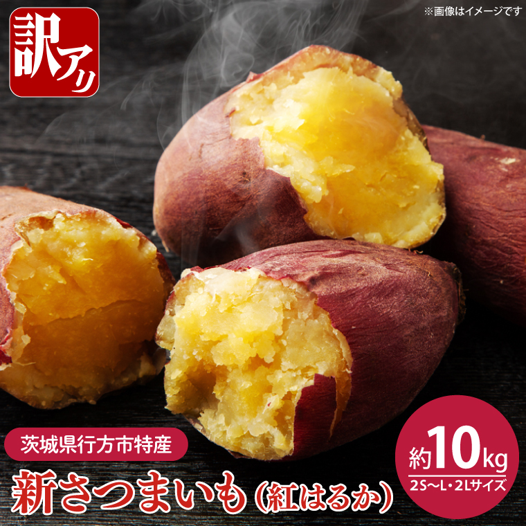 【2025年8月中旬より順次発送】★訳あり★茨城県行方市特産　新さつまいも（紅はるか）サイズミックス 約10kg｜訳あり わけあり 訳アリ さつまいも サツマイモ さつま芋 紅はるか べにはるか 芋 いも 茨城県産 行方市(FU-3)