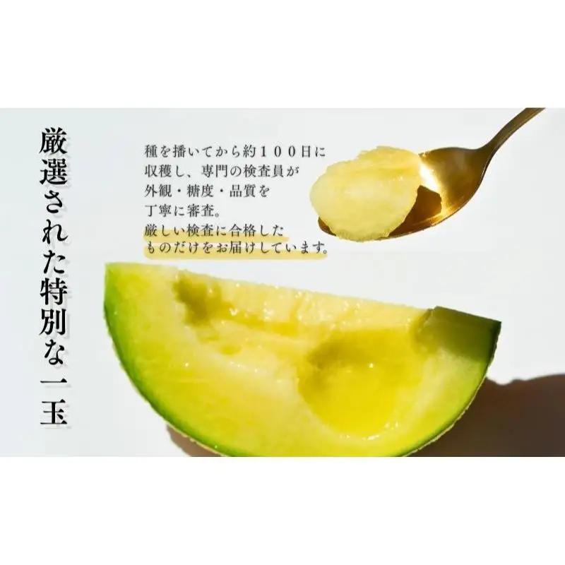 クラウンメロン 中玉 1.3kg 1玉 山 フルーツ メロン