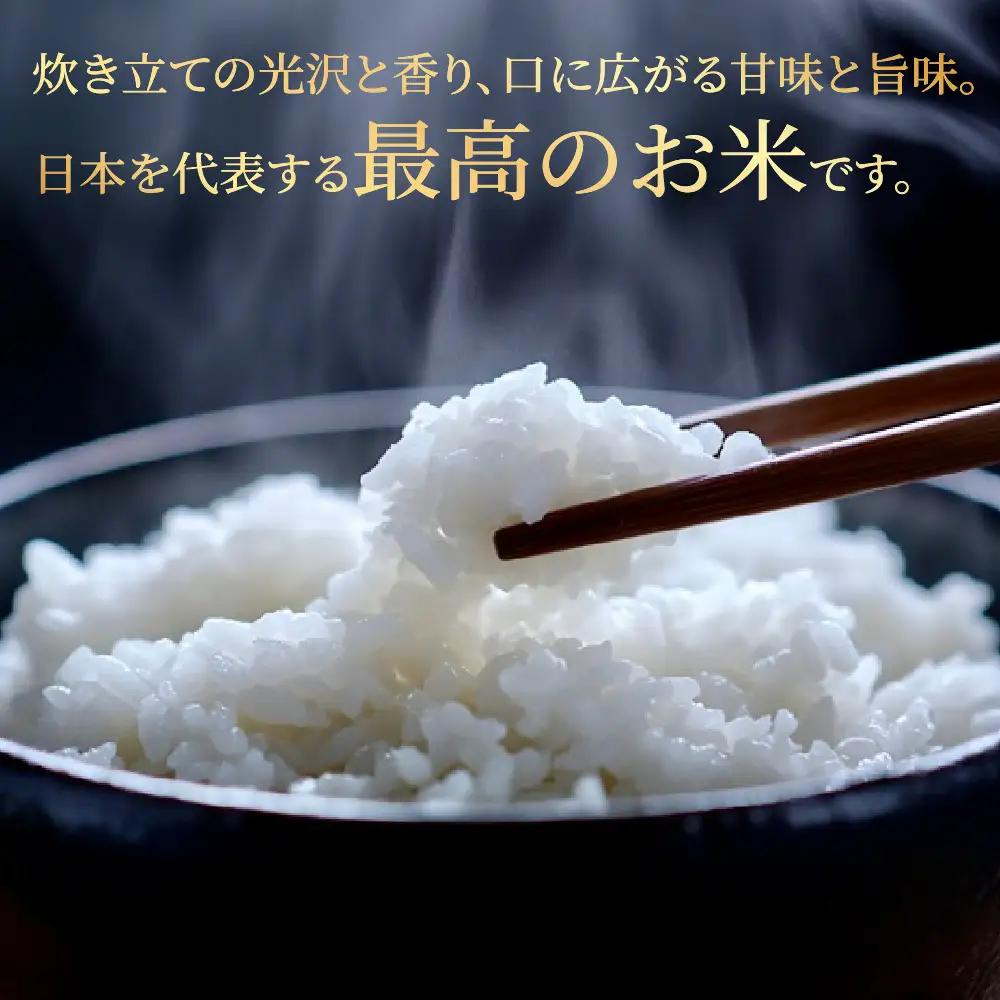 即納≪7営業日以内に発送≫【2025年産米】こしひかり 雅の舞 3kg ≪ふるさと納税限定≫【119-6】