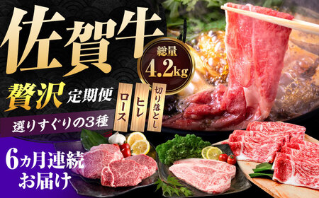 【6回定期便】佐賀牛 定期便 / 牛肉  [IAG075]