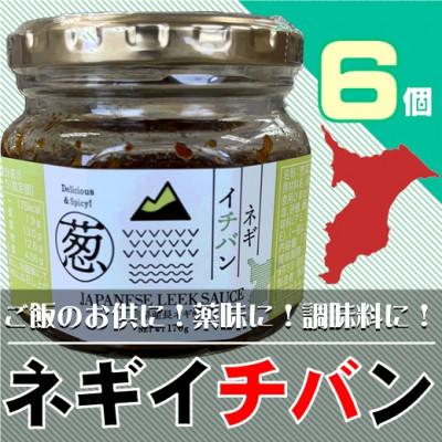 ふるさと納税 大網白里市 千葉県大網白里市産長ネギ使用★ネギイチバン★6個セット