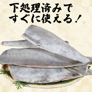 銀ひらす 5kg 白身魚 白身魚 白身魚 白身魚 白身魚 エドノフーズ