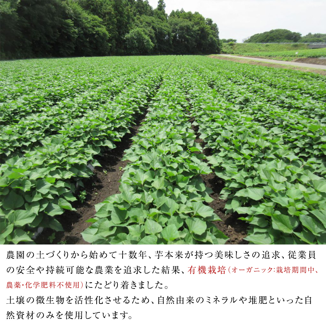 つくばみらい市産 さつまいも 紅はるか 土付き5kg サイズ未