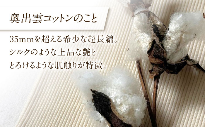 【種から育てた奥出雲コットン】リブタンクトップ＆ショーツセット nanadecor 綿100％ 下着 女性用 島根県雲南市/有限会社Juliette [AIEP001]