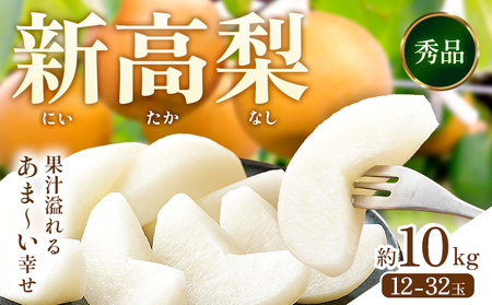 新高梨  約10kg (12～32玉) 日本フルーツ株式会社 《2025年9月上旬-10月末出荷》熊本県 荒尾市 新高梨 梨 果物 フルーツ スイーツ デザート ギフト ご贈答