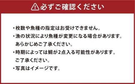 【倉敷市下津井産】おまかせ一夜干し5点セット 4種 天然鯛 干し魚 一夜干し 干物 魚 魚介 海産物 詰め合わせ 食べ比べ セット 岡山県 倉敷市