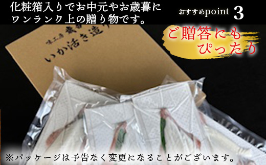 『先行予約』呼子のいか活造り3杯! コリコリ甘い鮮度抜群の透明感! 約200g×3(合計約600g) 刺身 ギフト 冷凍 ※水揚げあり次第6月以降順次発送させていただきます。
