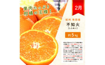 定期便【全3回】紀州和歌山産旬のフルーツセット 不知火 桃 ひらたね【tkb393】