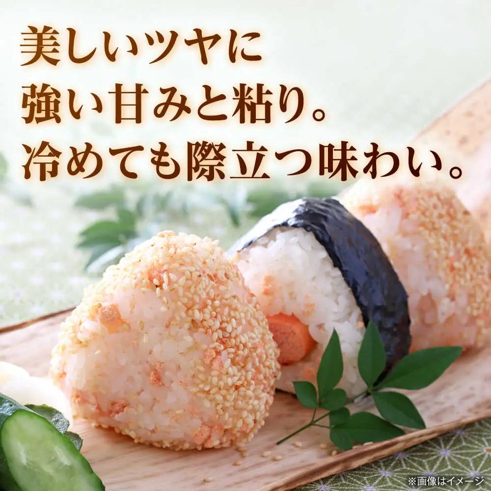 【先行予約】【6回定期便】くまさんの輝き 白米  10kg 山鹿市産【奥村果実園】[ZFK022]