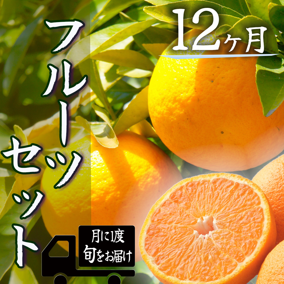 湯の花　みかんメインで贈るフルーツ12回の定期便　【みかん 果物 フルーツ 旬 柑橘 甘い 新鮮 定期便】