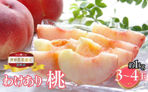 山梨県笛吹市産　ご家庭用桃(わけあり)　1kg　3玉～4玉 223-015｜ふるさと納税 人気 おすすめ ランキング もも 桃  国産 人気 期間限定 果物 フルーツ ギフト 贈り物 プレゼント 旬 山梨県 笛吹市 送料無料
