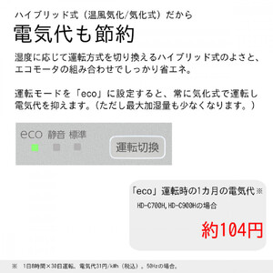 ハイブリッド式加湿器 HD-C900H(H) マットグレー 0H58130