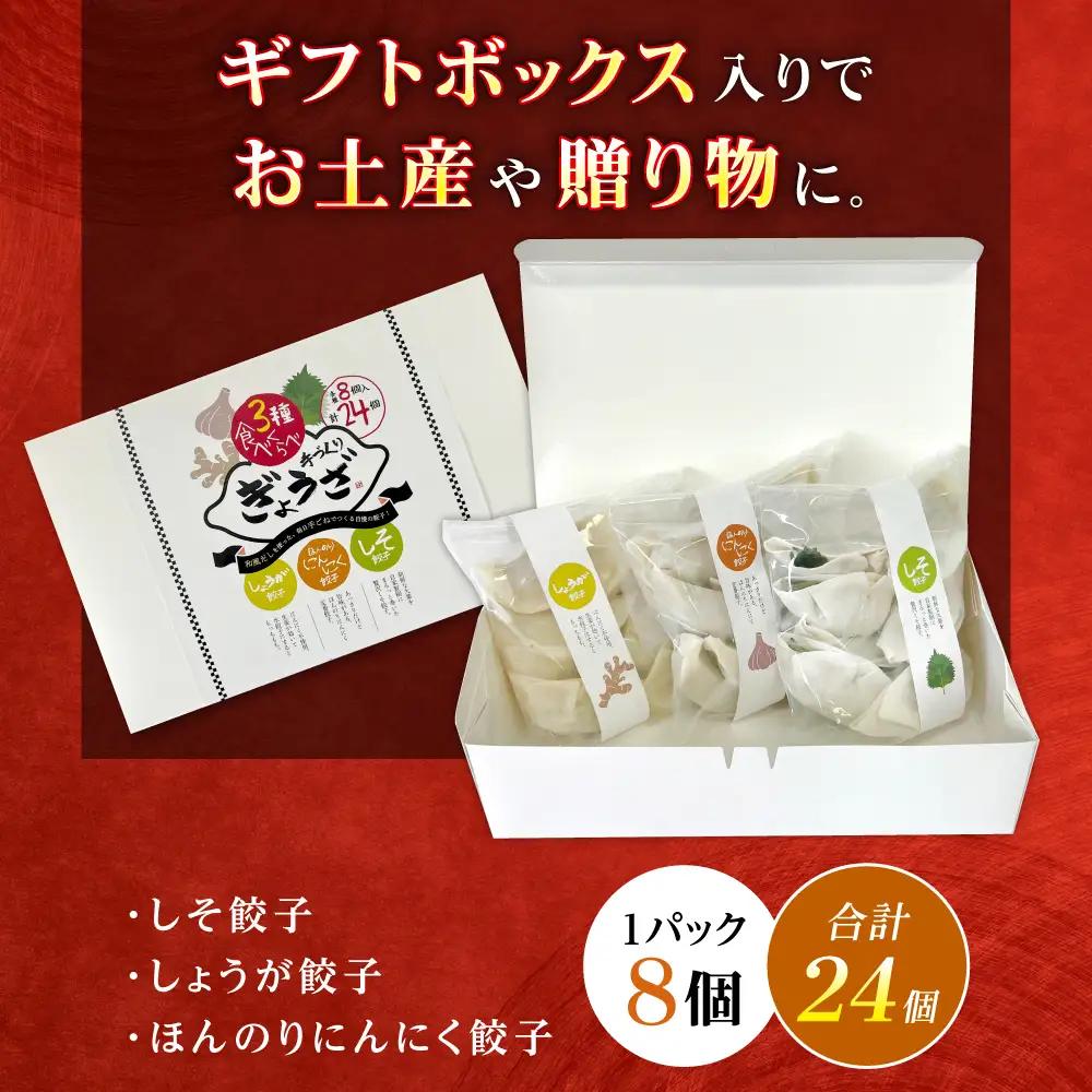 餃子屋ヒロの3種食べ比べセット 餃子 ぎょうざ 【ふるなびWEEK対象】[BDAS002] 