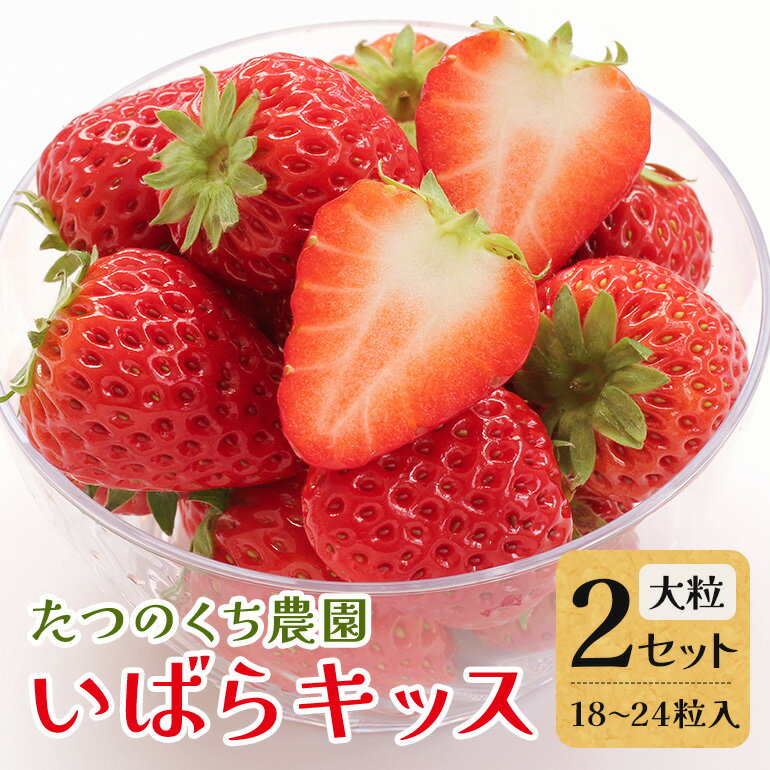 【ふるさと納税】いばらキッス2セット（大粒18～24粒） いちご イチゴ 苺 旬 フルーツ 青果 果物 デザート 茨城 冷蔵 【たつのくち農園】【ho1465】