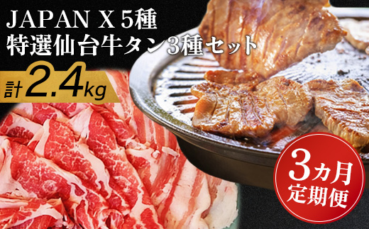 『定期便：3ヶ月』JAPAN X5種と特選仙台牛タン3種 計2.4kg【塩・味噌・醤油・ロース・肩ロース・豚バラ・豚モモ・小間】【04158】