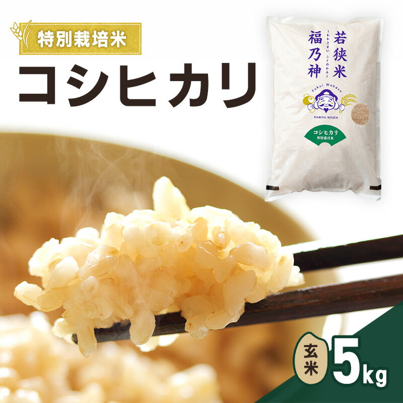 【ふるさと納税】令和7年産 特別栽培米 コシヒカリ 5kg（玄米） 米 お米 こしひかり 若狭町　お届け：2026年4月上旬～7月中旬