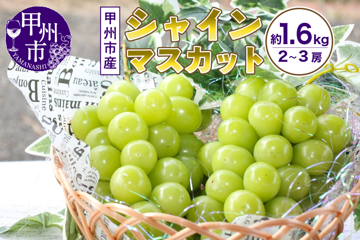 
            山梨の自然が産んだスイートエメラルド甲州市産シャインマスカット！約1.6kg 2～3房【2025年発送】（UD）B15-865 【シャインマスカット 葡萄 ぶどう ブドウ 令和7年発送 期間限定 山梨県産 甲州市 フルーツ 果物】
          