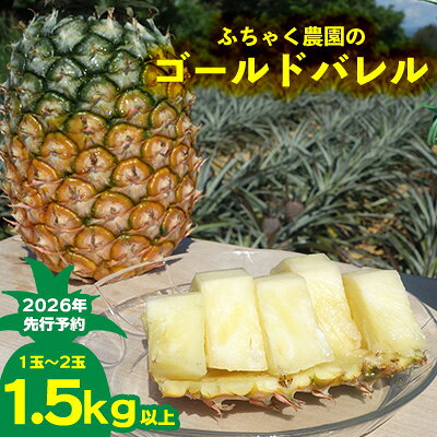 【ふるさと納税】【2026年先行予約】ふちゃく農園のゴールドバレル1.5kg以上 パイン パイナップル パインアップル 高級パイン 沖縄県産パイン フルーツ 南国フルーツ トロピカルフルーツ 高級フルーツ 果物 くだもの 果実 デザート 甘い 人気 プチギフト 産地直送