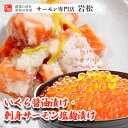 【ふるさと納税】いくら醤油漬け・刺身サーモン塩麹漬け いくら イクラ 醤油漬け いくら醤油漬け 刺身 鮭 さけ サケ しゃけ シャケ サーモン トラウトサーモン おつまみ 魚 海鮮 海産物 魚介 魚介類 惣菜 おかず ごはんのお供 漬魚 冷凍 新潟　【 新潟市 】
